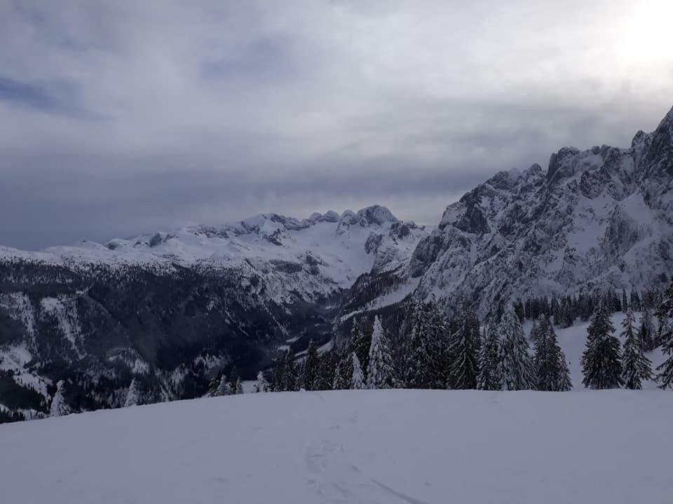 Dachstein view ski apartment Gosau Buitenkant foto