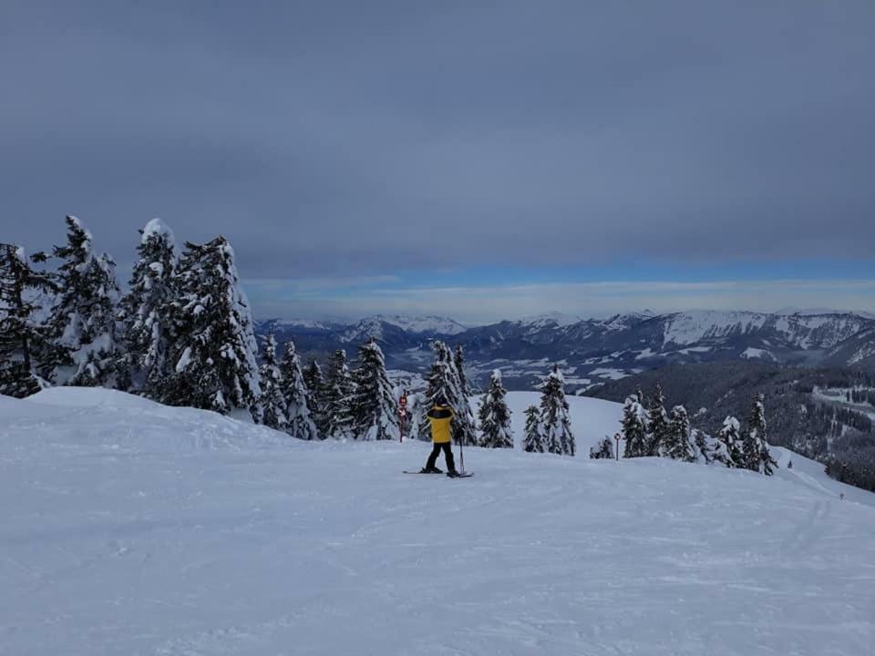 Dachstein view ski apartment Gosau Buitenkant foto